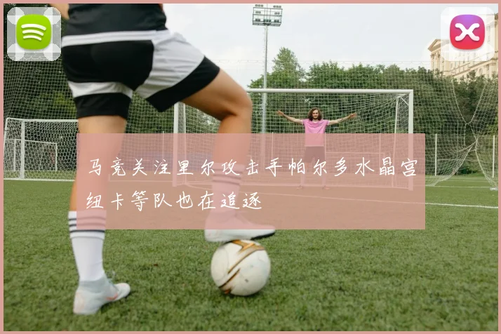 马竞关注里尔攻击手帕尔多水晶宫纽卡等队也在追逐