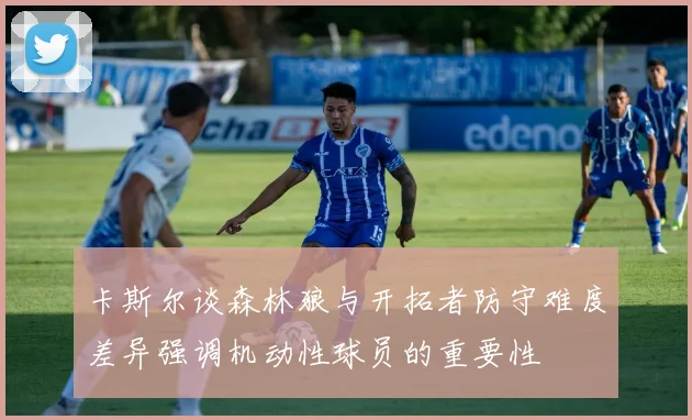 卡斯尔谈森林狼与开拓者防守难度差异强调机动性球员的重要性