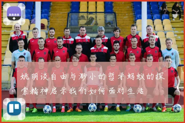 姚明谈自由与渺小的哲学蚂蚁的探索精神启示我们如何面对生活